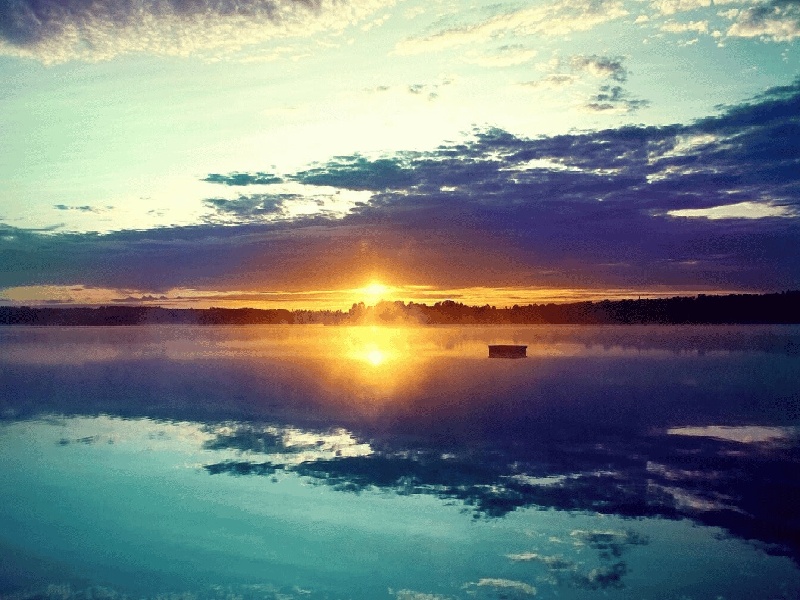 内农大试管羊（试管孕酮5.0正常吗）